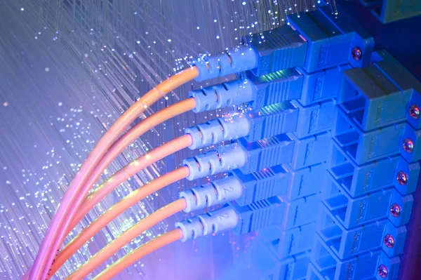 Colpo di cavi di rete e server in un data center tecnologico — Foto Stock