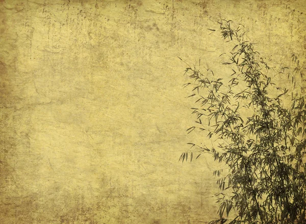 Бамбук на старій гранжевій антикварній текстурі паперу — стокове фото