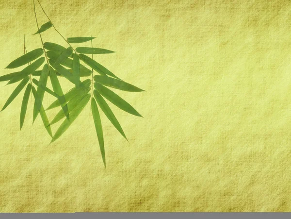 Bambus pe vechi grunge textura de hârtie antică — Fotografie, imagine de stoc