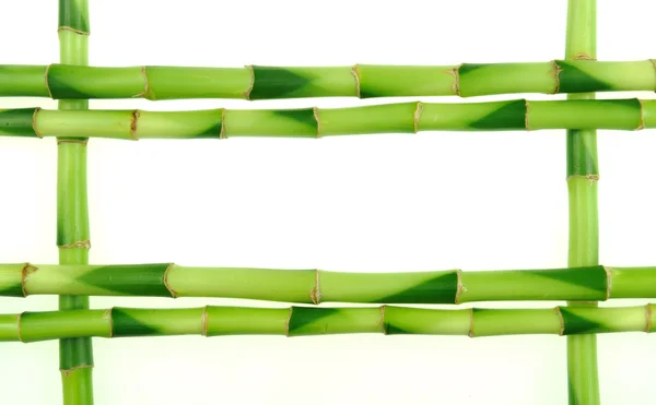 Palos de bambú sobre fondo blanco Imagen de stock
