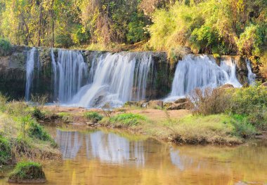 Ulusal parkta şelale