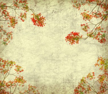 Peacock flowers on tree with Old antique vintage paper background clipart