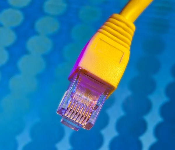 Cable de red óptica de fibra —  Fotos de Stock