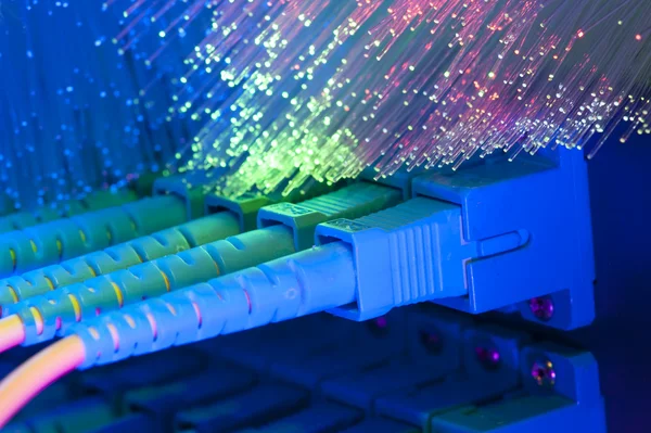A hálózati kábel és a technológia adatközpont kiszolgálójára lövés — Stock Fotó
