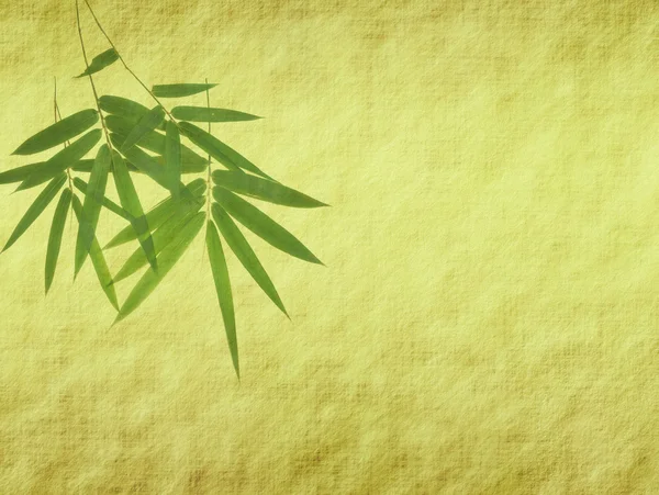 Bambú en la textura de papel antiguo grunge viejo — Foto de Stock
