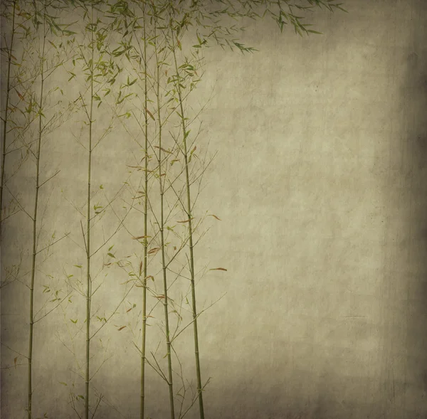 Силует гілок бамбука на паперовому фоні — стокове фото
