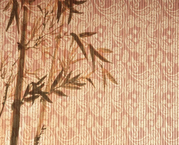 La silueta de las ramas del bambú sobre el fondo de papel — Foto de Stock