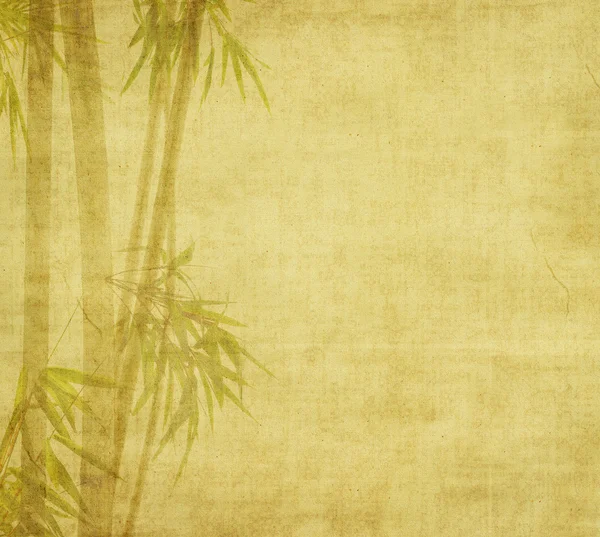Σκιαγραφία από κλάδους της μια μπαμπού σε φόντο του χαρτιού — Φωτογραφία Αρχείου