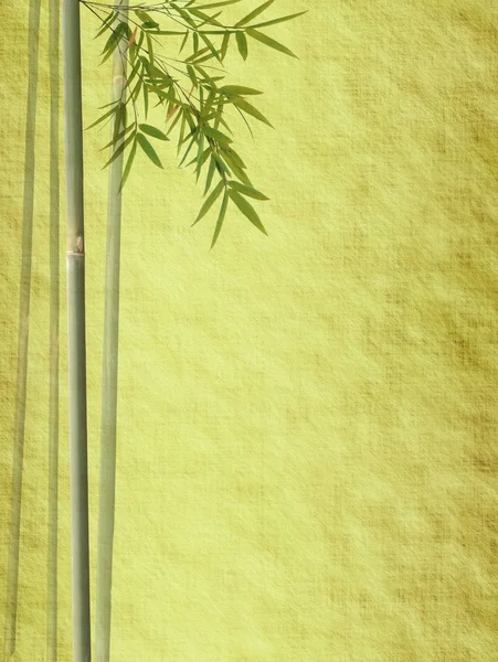 Бамбук на старій гранжевій антикварній текстурі паперу — стокове фото