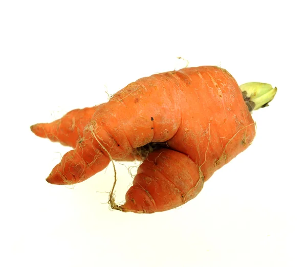 Морква ізольована на білому — стокове фото