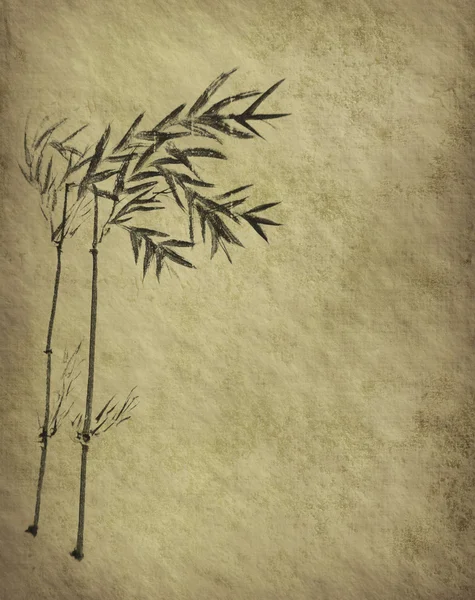 Design, a kínai bambusz fák textúra a merített papír — Stock Fotó