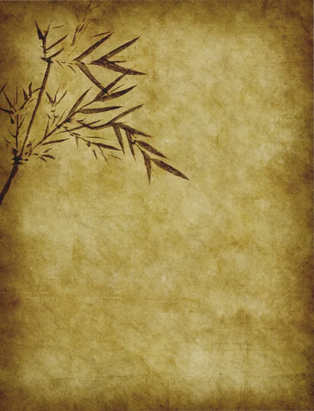 Bambusz a régi grunge antik papír textúra — Stock Fotó