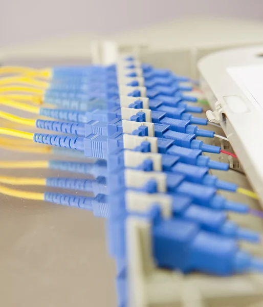 Tiro de cables de red y servidores en un centro de datos de tecnología —  Fotos de Stock