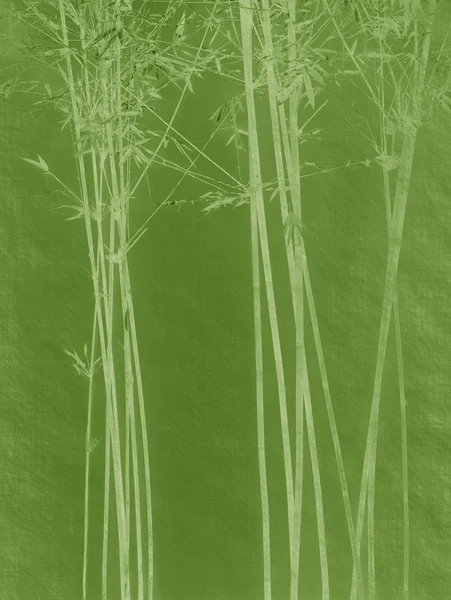 Çin bambu ağaçlarının tasarım el yapımı kağıt dokusu ile — Stok fotoğraf