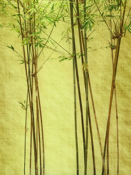 古いすりおろしたアンティーク紙の質感の竹 — ストック写真