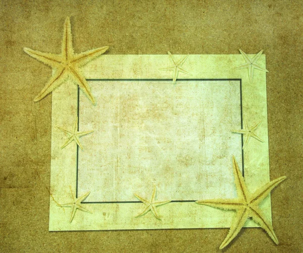 Cadre marin avec étoiles de mer — Photo