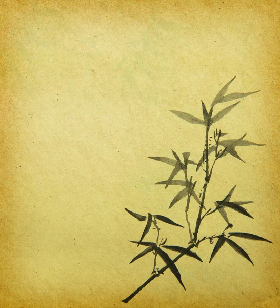 Świeże storczyki z bambusa tło — Zdjęcie stockowe