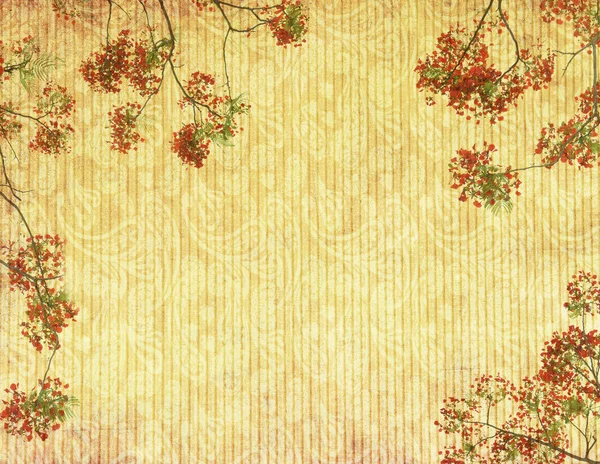 Цветы павлина на дереве на старом старинном бумажном фоне — стоковое фото