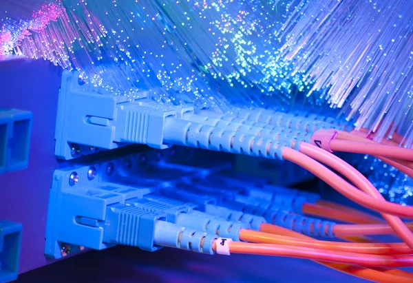 ネットワーク ケーブルと技術データ センター内のサーバーのショット — ストック写真