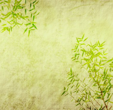 Bamboo on old grunge antique paper texture clipart