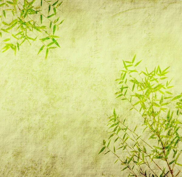 Bambou sur vieux papier grunge texture antique — Photo