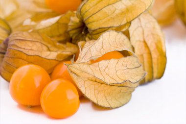 physalis taze meyve