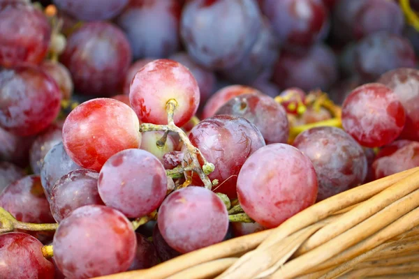 Rijpe druiven — Stockfoto
