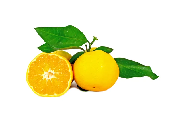 Δύο ώριμα πορτοκάλια — Φωτογραφία Αρχείου