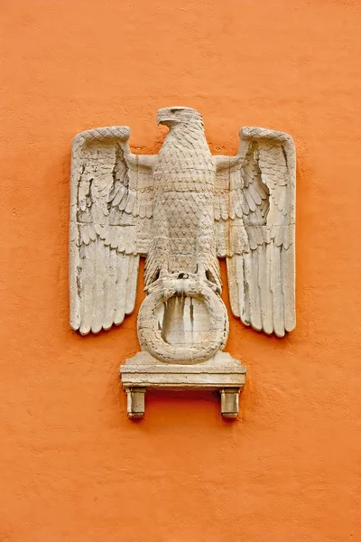 Vulturul german — Fotografie, imagine de stoc