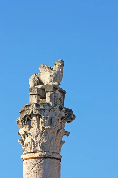 베니스 사자 — 스톡 사진