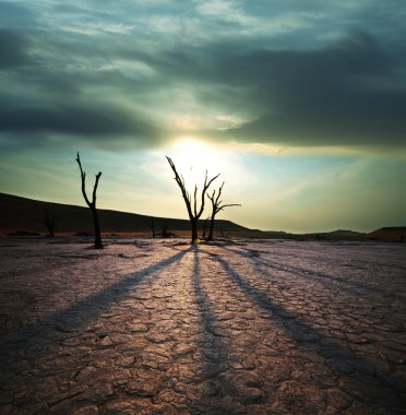 Namib Çölü