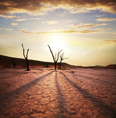 Namib Çölü