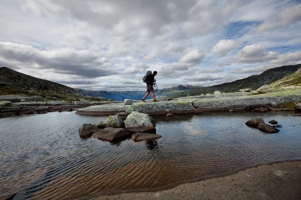 Norveç'te zammı — Stok fotoğraf