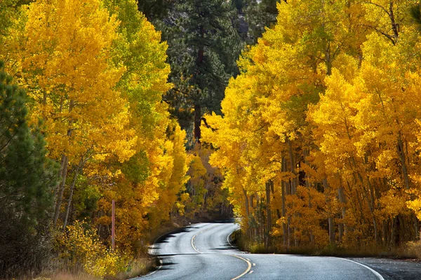 Höstens road — Stockfoto