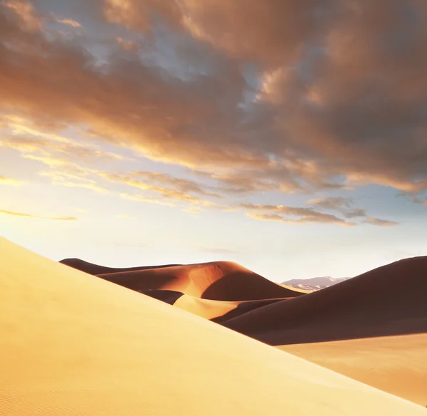 Günbatımı üzerinde çöl — Stok fotoğraf