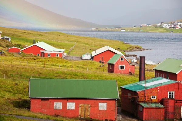 Faroe island — Stock Photo, Image