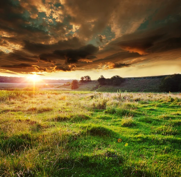 夕焼けの草原 — ストック写真