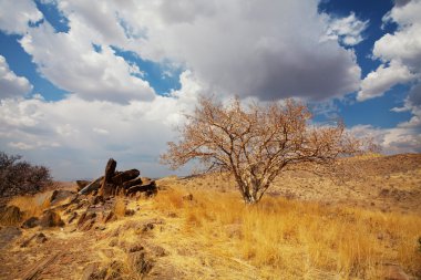 Afrika manzaraları