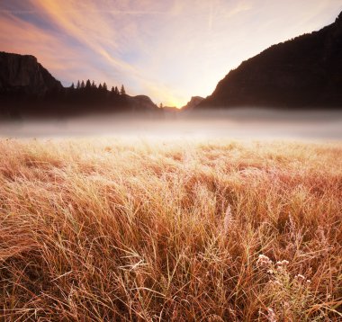 Yosemite