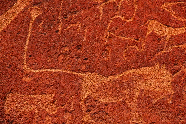 Pétroglyphe africain — Photo