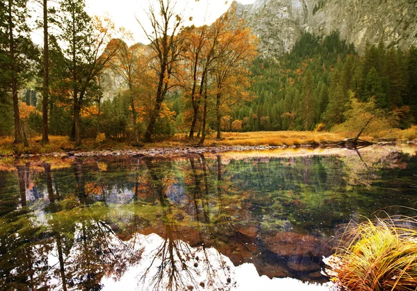 Herbst im Yosemite — Stockfoto