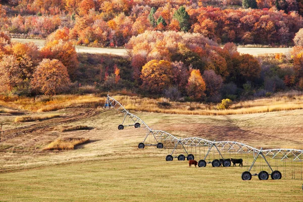 Pradera de otoño — Foto de Stock
