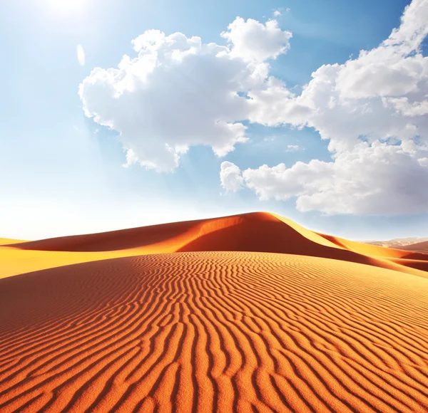 Deserto — Fotografia de Stock