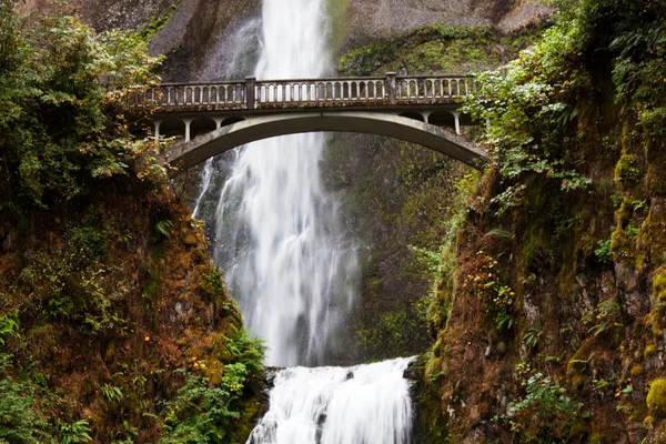 オレゴンの滝 — ストック写真