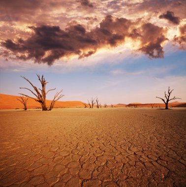 Namib desert clipart