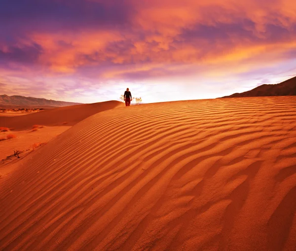 Wandeling in de woestijn — Stockfoto