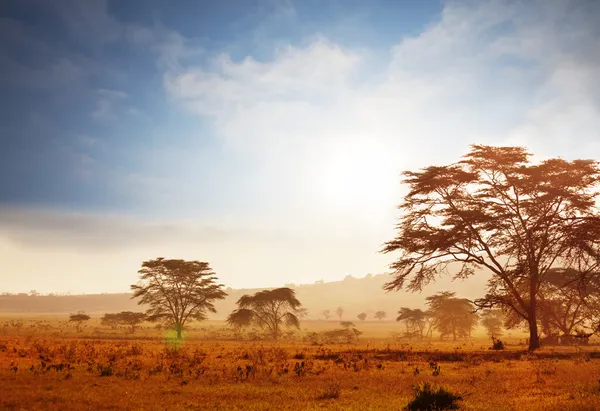 Afrykański krajobraz — Zdjęcie stockowe