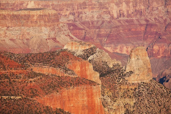 Grand Canyon — Stockfoto