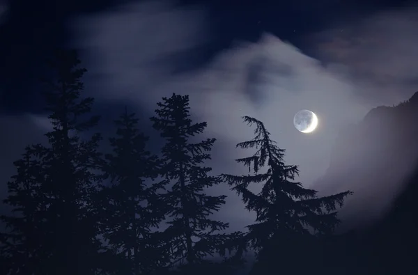 月光下 — 图库照片