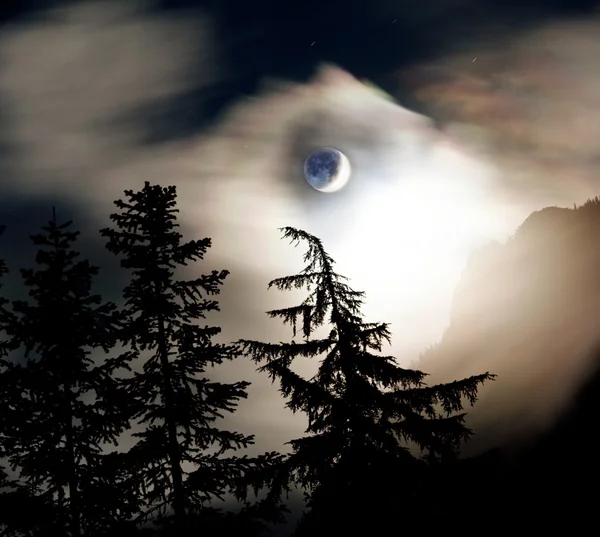 月明かり — ストック写真
